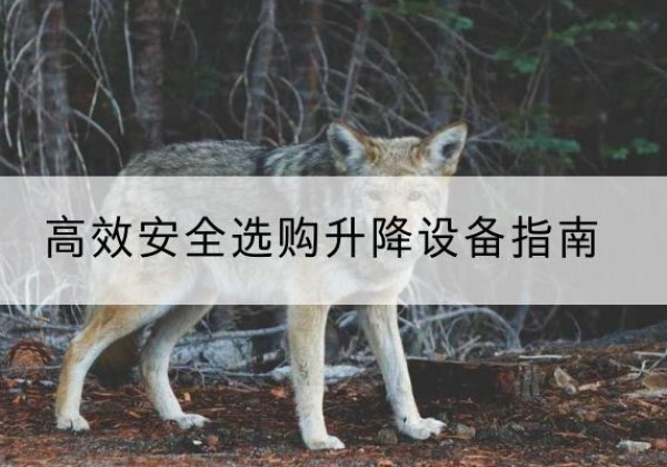 皋兰升降货梯厂家推荐-*安全选购升降设备指南