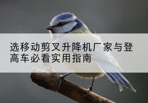 皋兰电动升降机厂家-选移动剪叉升降机厂家与登高车必看实用指南