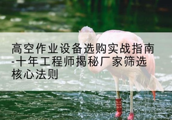 皋兰剪叉式升降机厂家-高空作业设备选购实战指南-十年工程师揭秘厂家筛选核心法则